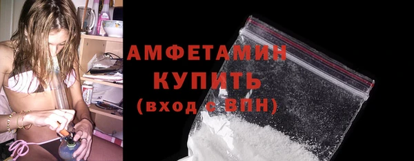 шишки Мегион
