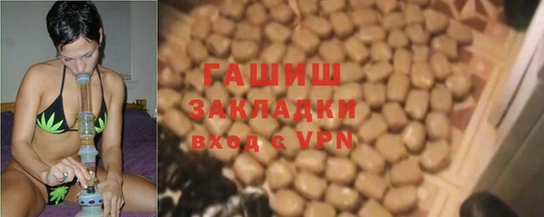 шишки Мегион