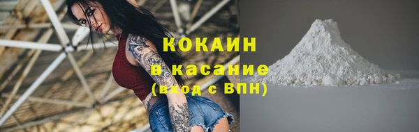 шишки Мегион