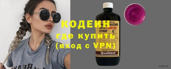 шишки Мегион