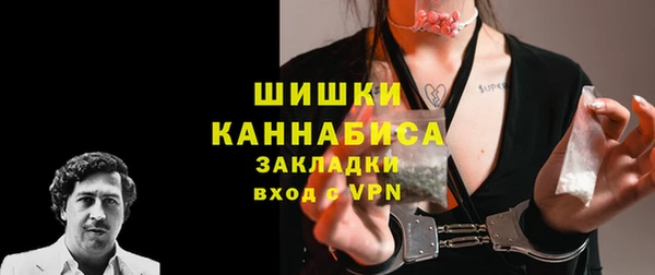 шишки Мегион