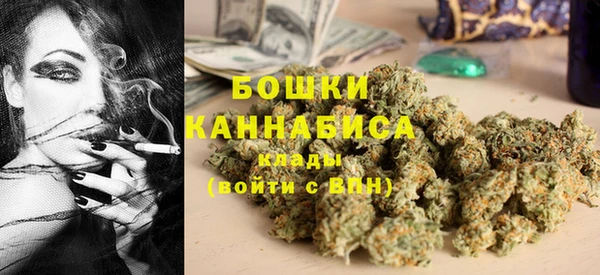 шишки Мегион
