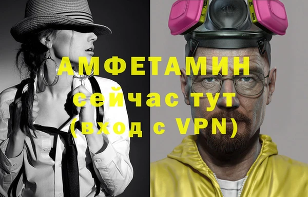 шишки Мегион