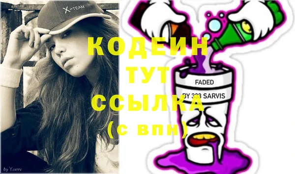 шишки Мегион