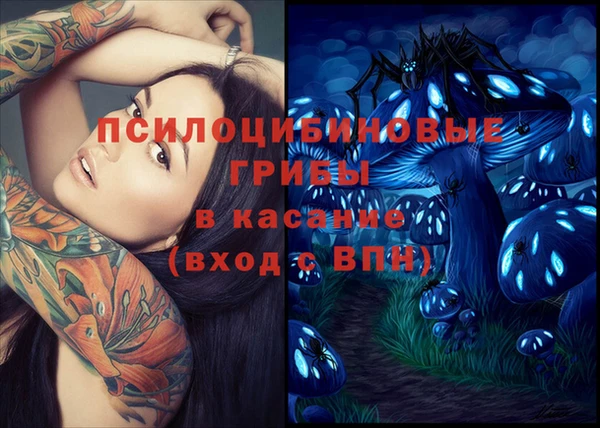 бошки Медвежьегорск