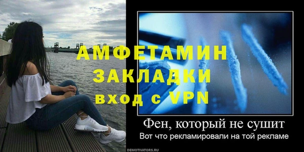 шишки Мегион
