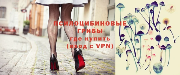 шишки Мегион