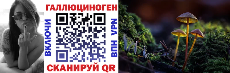 Псилоцибиновые грибы Cubensis  как найти закладки  Южноуральск 