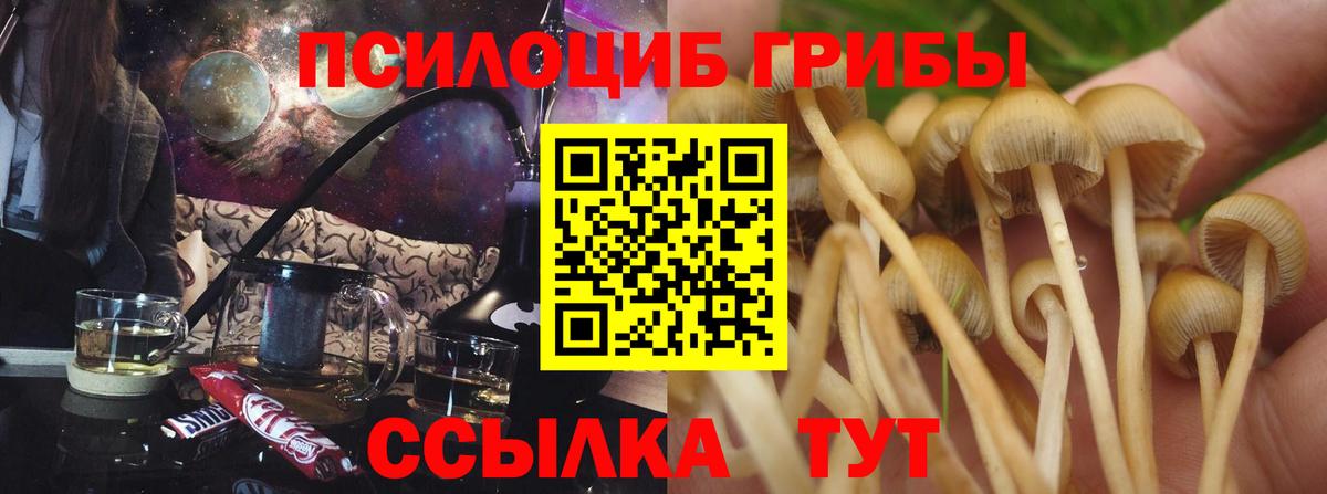 Южноуральск  закладки  Вход с VPN  Псилоцибиновые грибы мицелий 