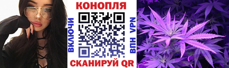 Каннабис OG Kush  Южноуральск 